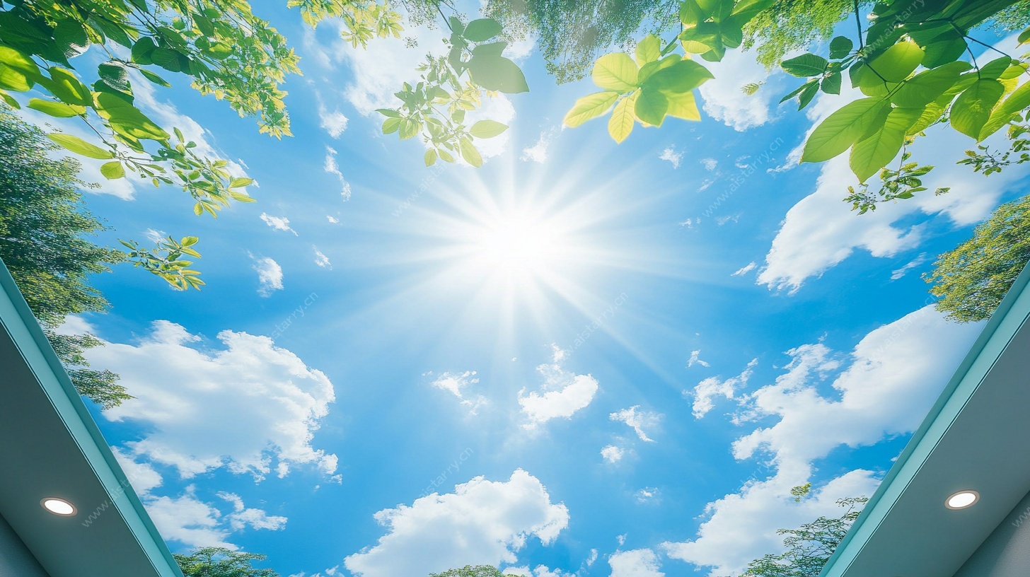 透过绿叶看晴朗天空