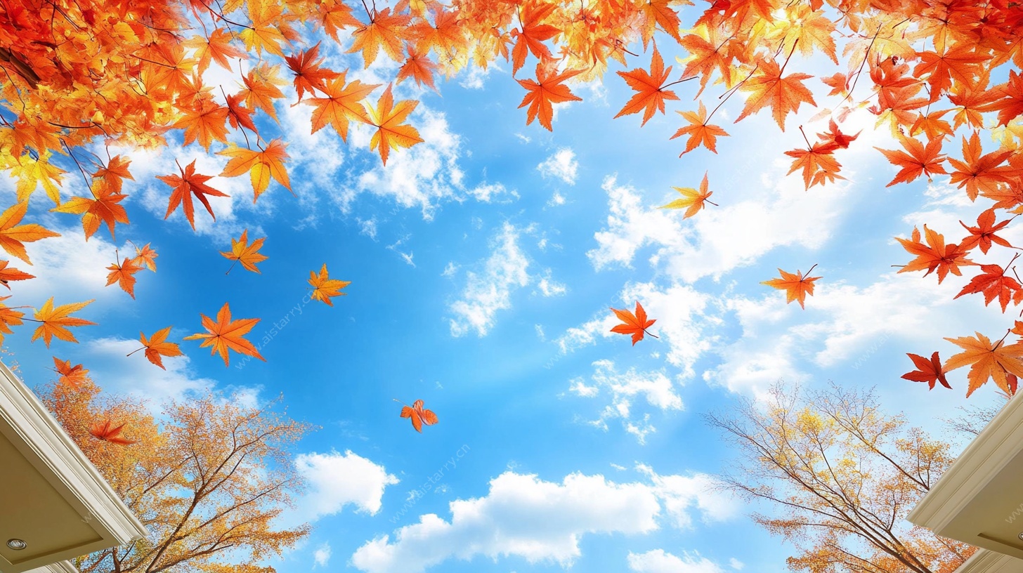 秋日枫叶飘蓝天美景