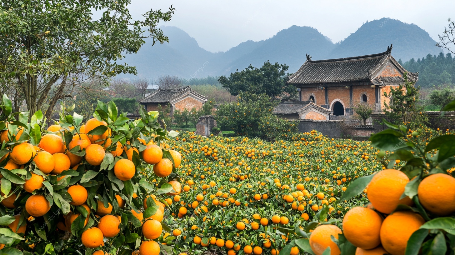 橘园中的古建风光