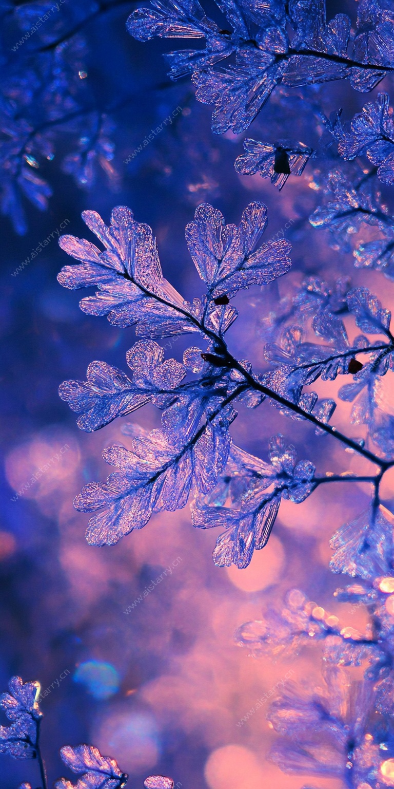 梦幻蓝紫色冰晶树叶特写