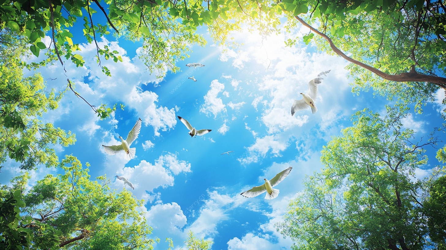 林间飞鸟 蓝天绿意景象