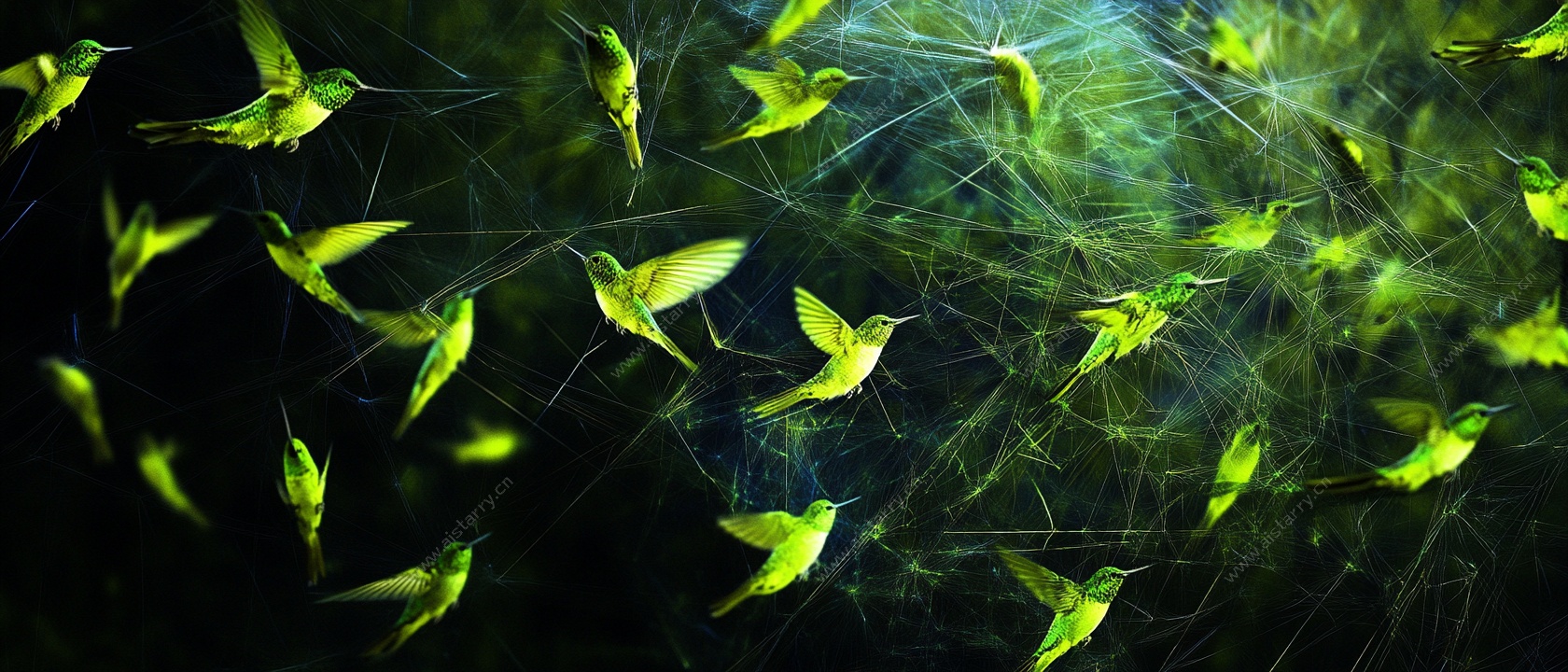 飞舞的绿色蜂鸟梦幻图景