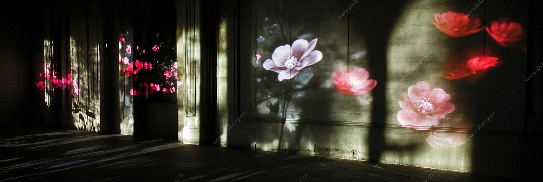 光影繁花墙面艺术景象