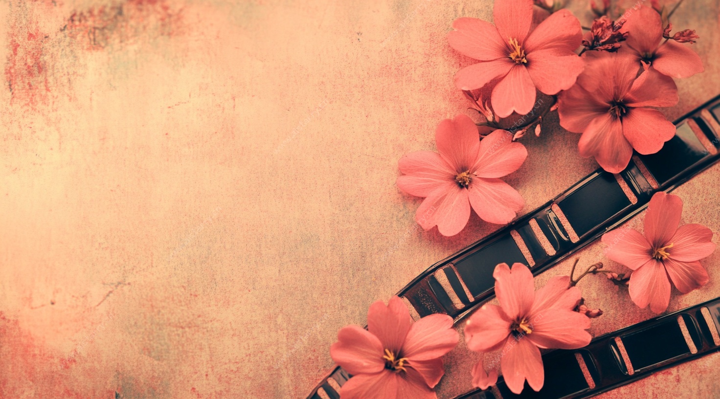 复古胶片与粉色花卉背景