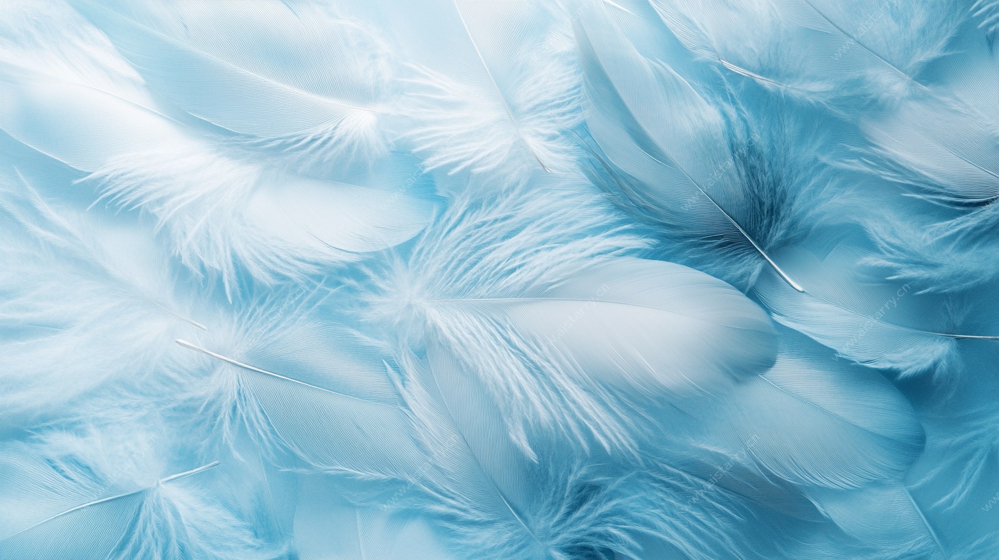 梦幻蓝白色羽毛背景图
