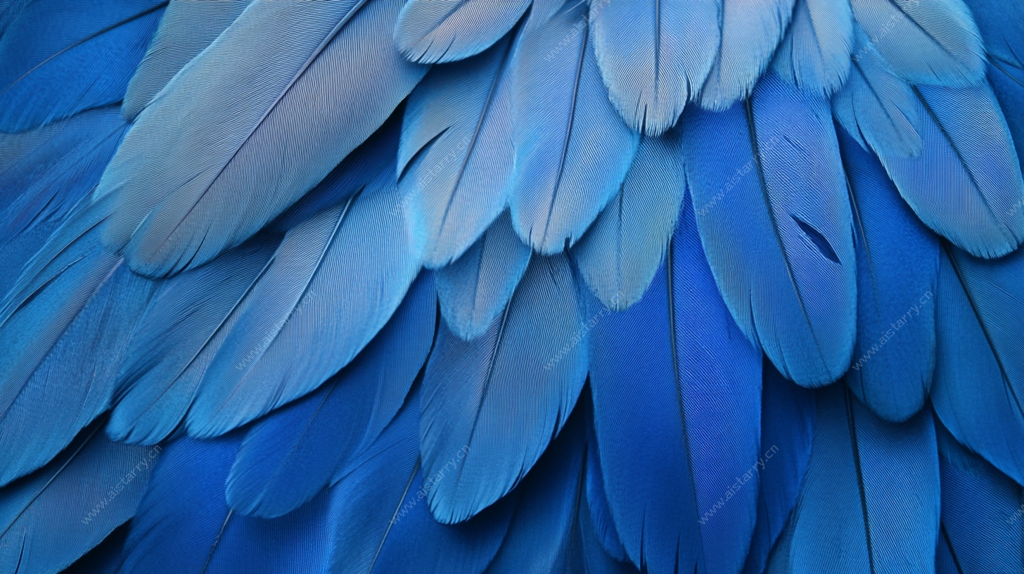 蓝色羽翼纹理特写