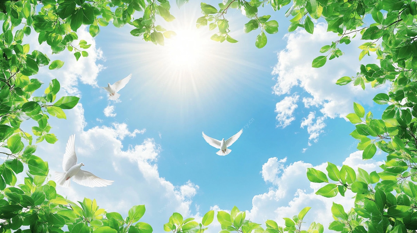 阳光绿叶间的白鸽飞翔