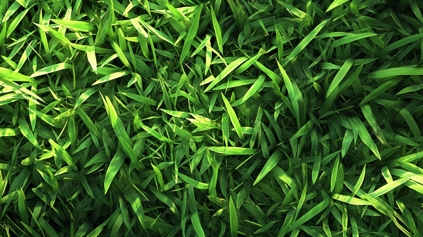 翠绿青草纹理背景图