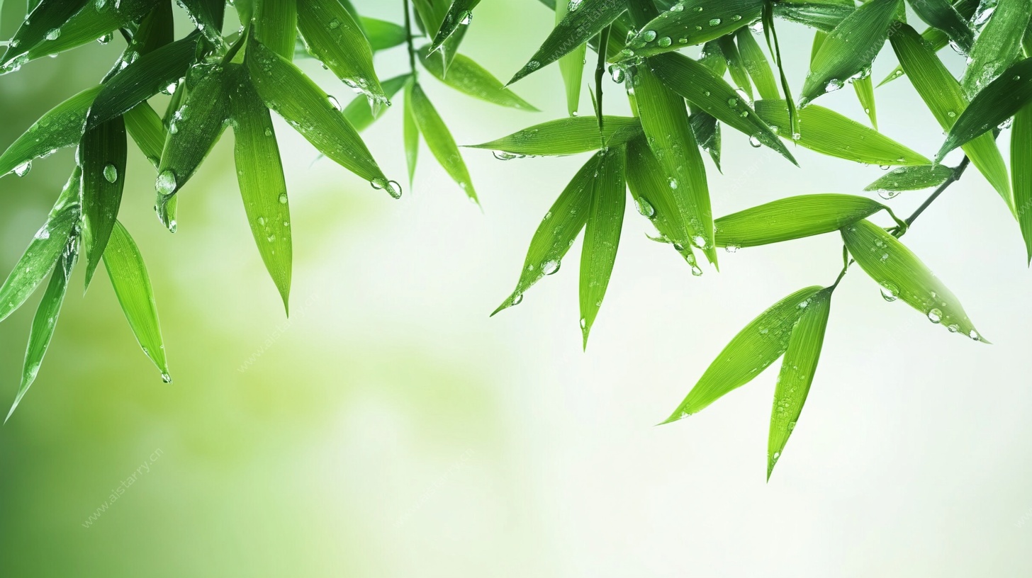 翠绿竹叶 清新自然