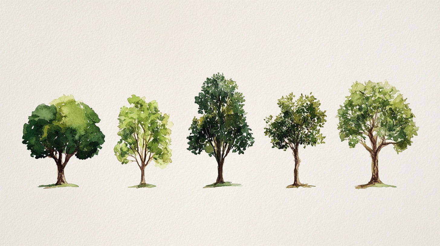 五棵水彩风格树木插画