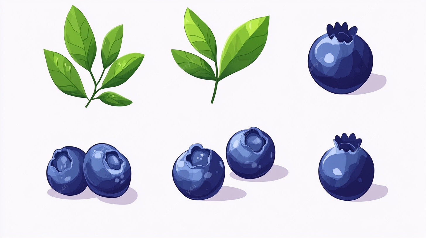 蓝莓与绿叶插画集合