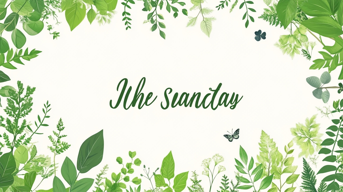 清新绿植周日背景图