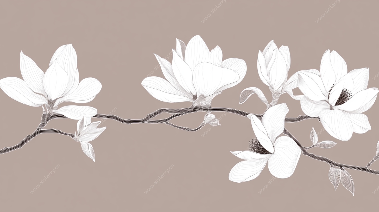 玉兰花枝简约插画