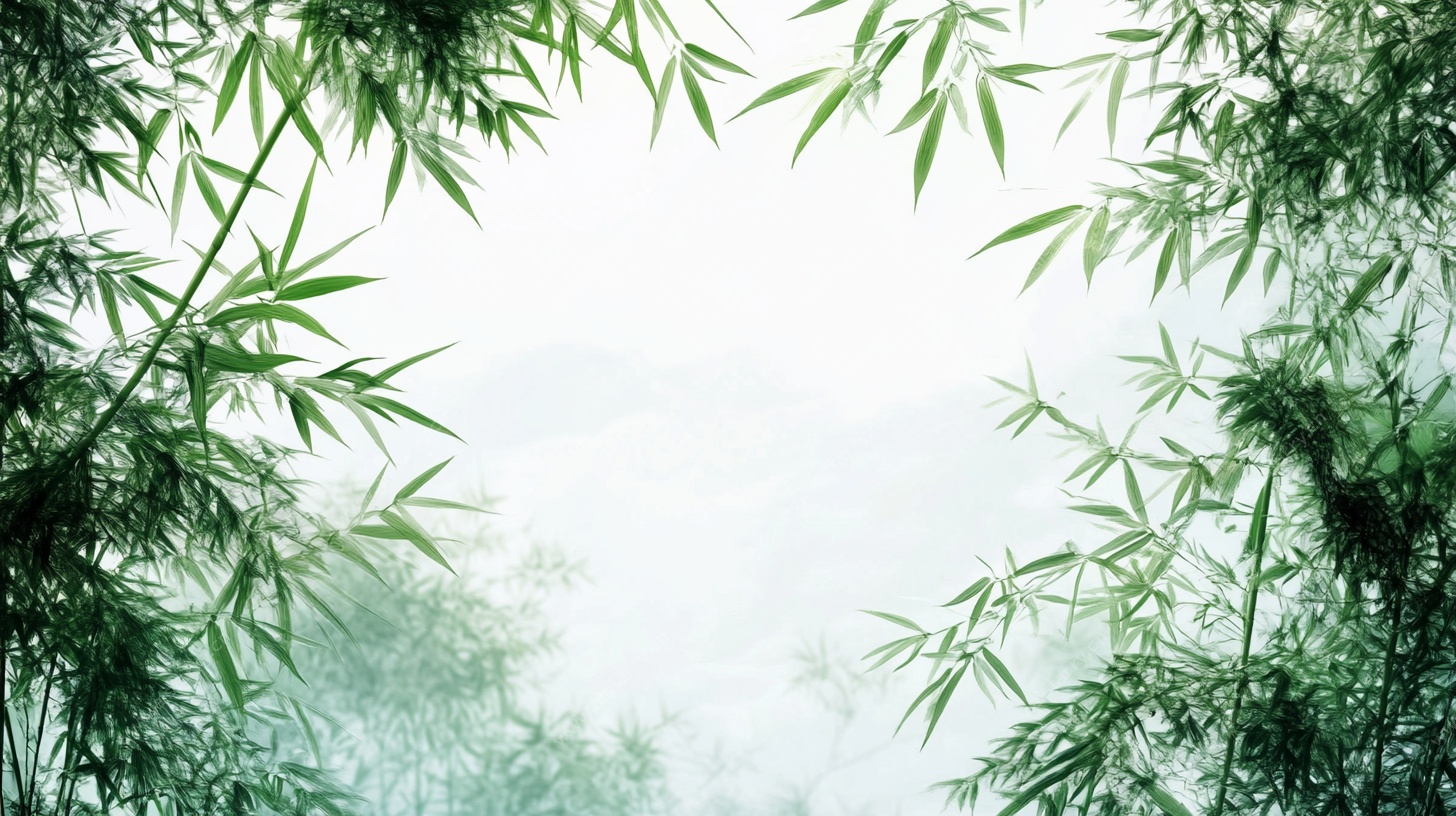 翠竹环绕的清幽景致