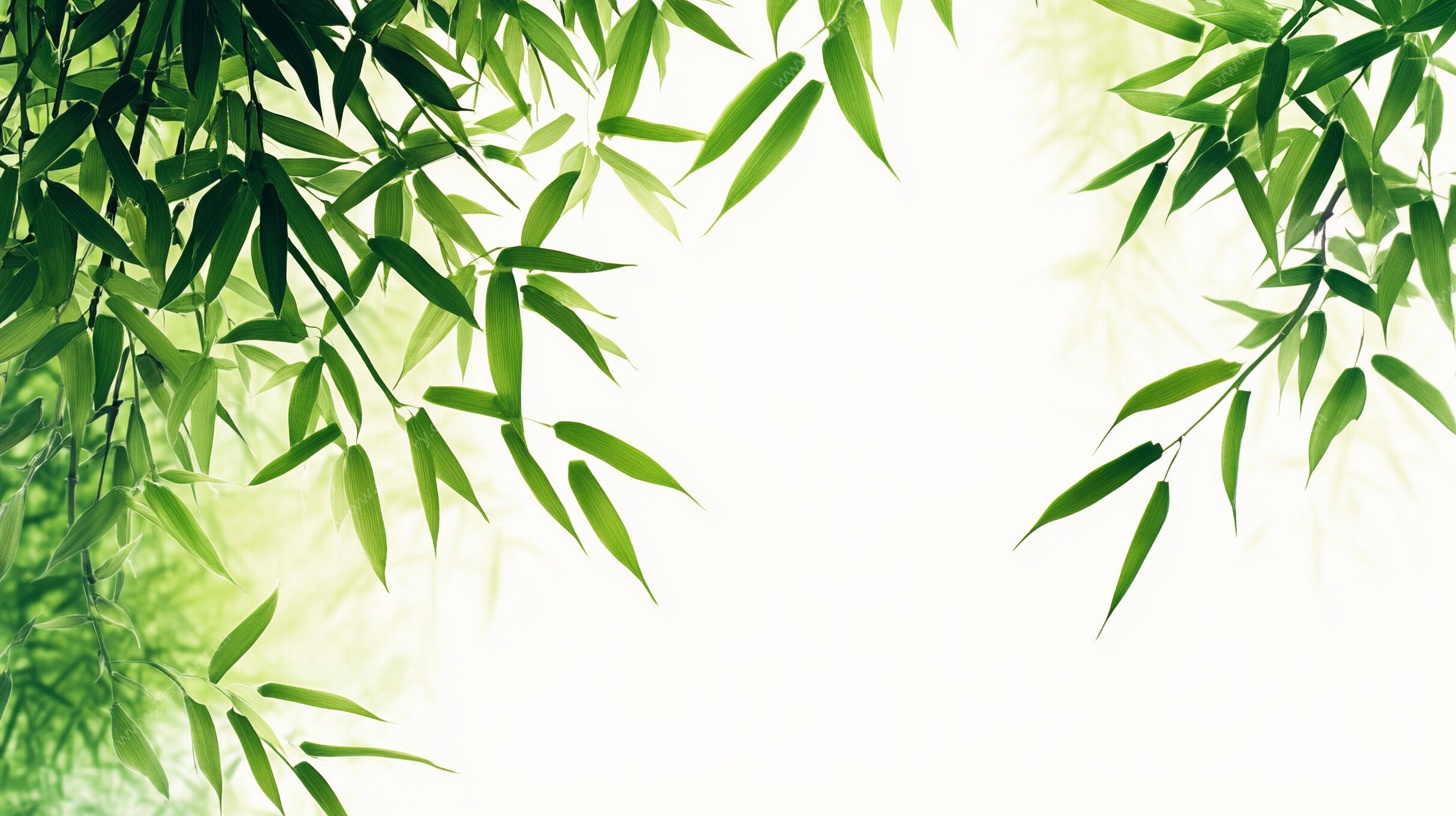 清新翠竹背景图