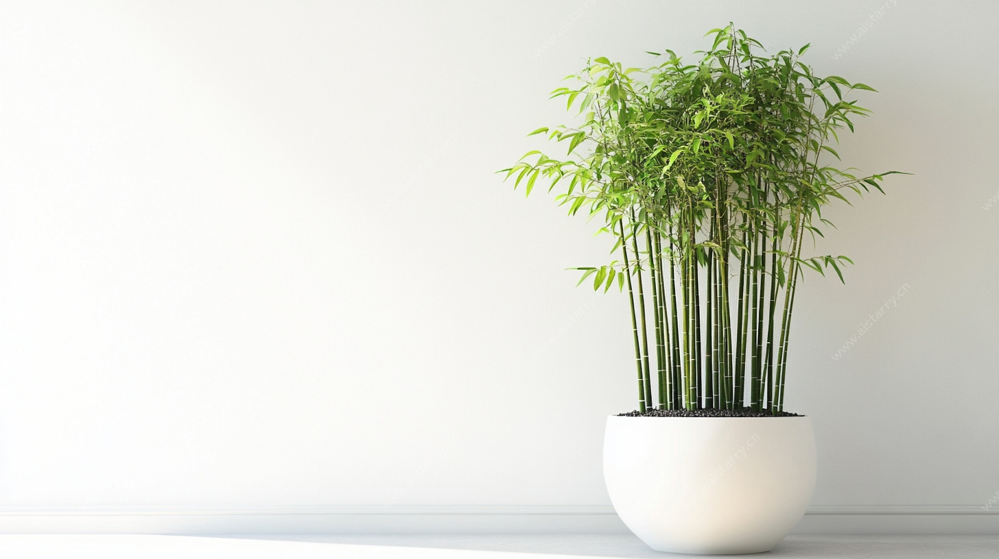 白盆翠竹静物图