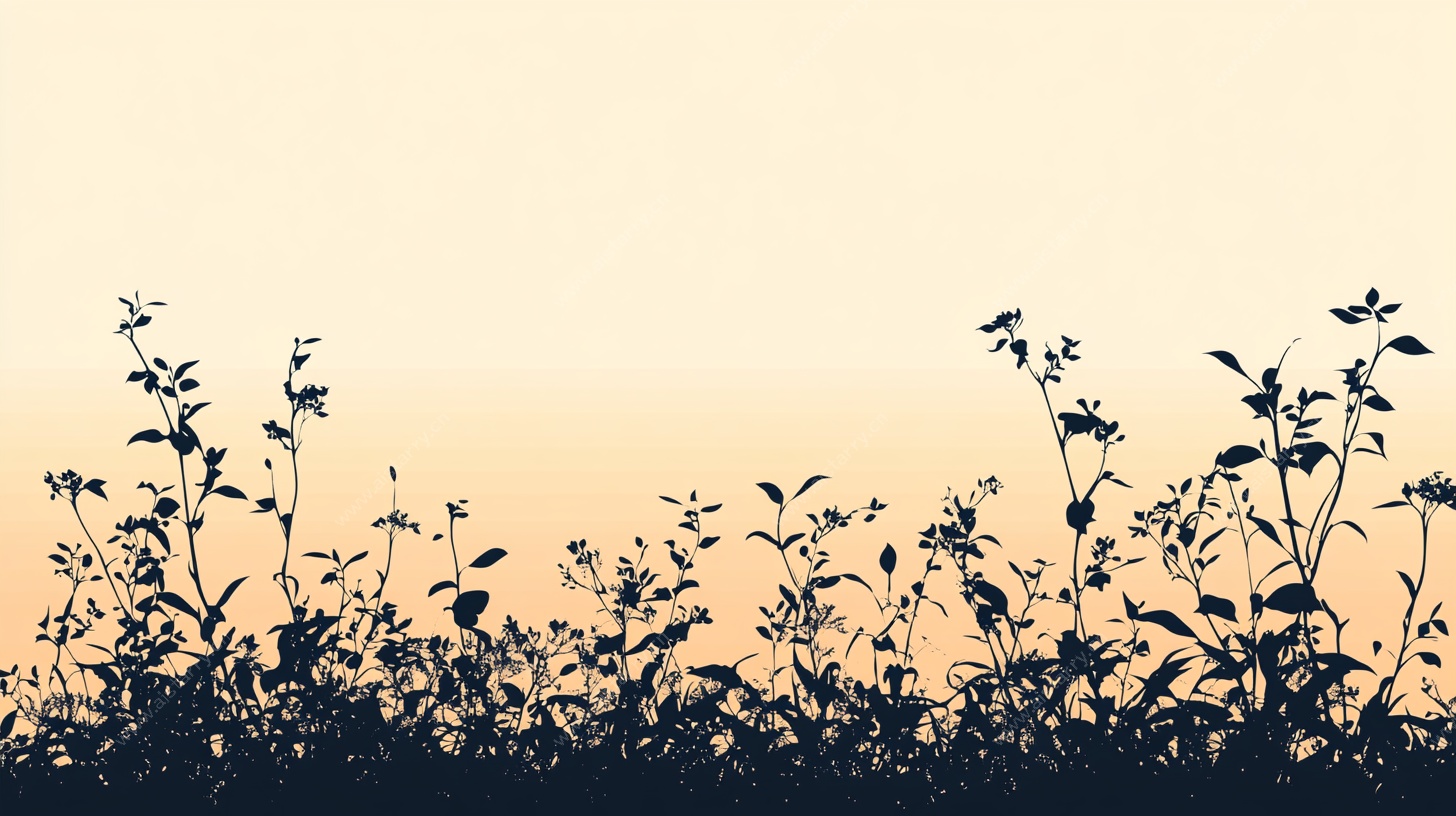 黄昏下的植物剪影