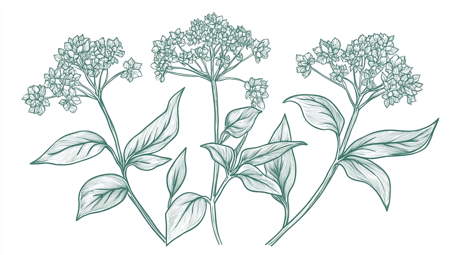 手绘清新风花卉植物图案