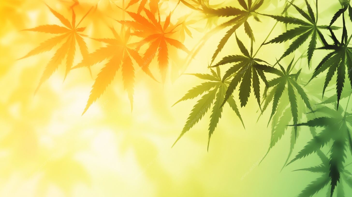 阳光中的斑斓枫叶