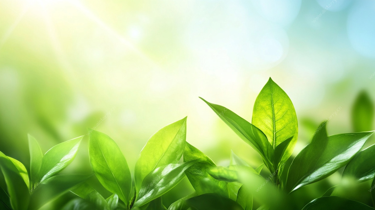 阳光下的嫩绿叶片