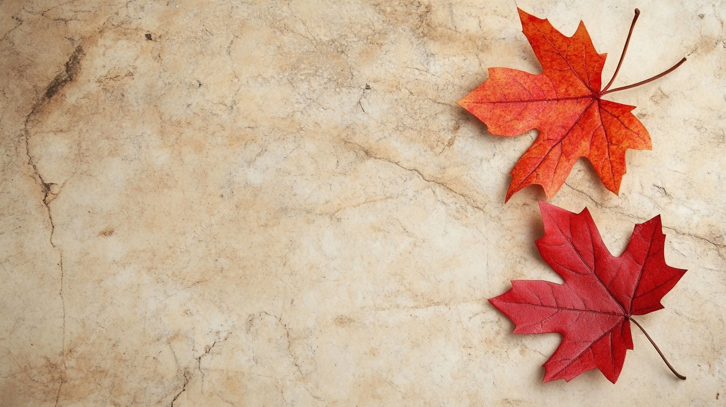 枫叶置于古朴纹理背景上