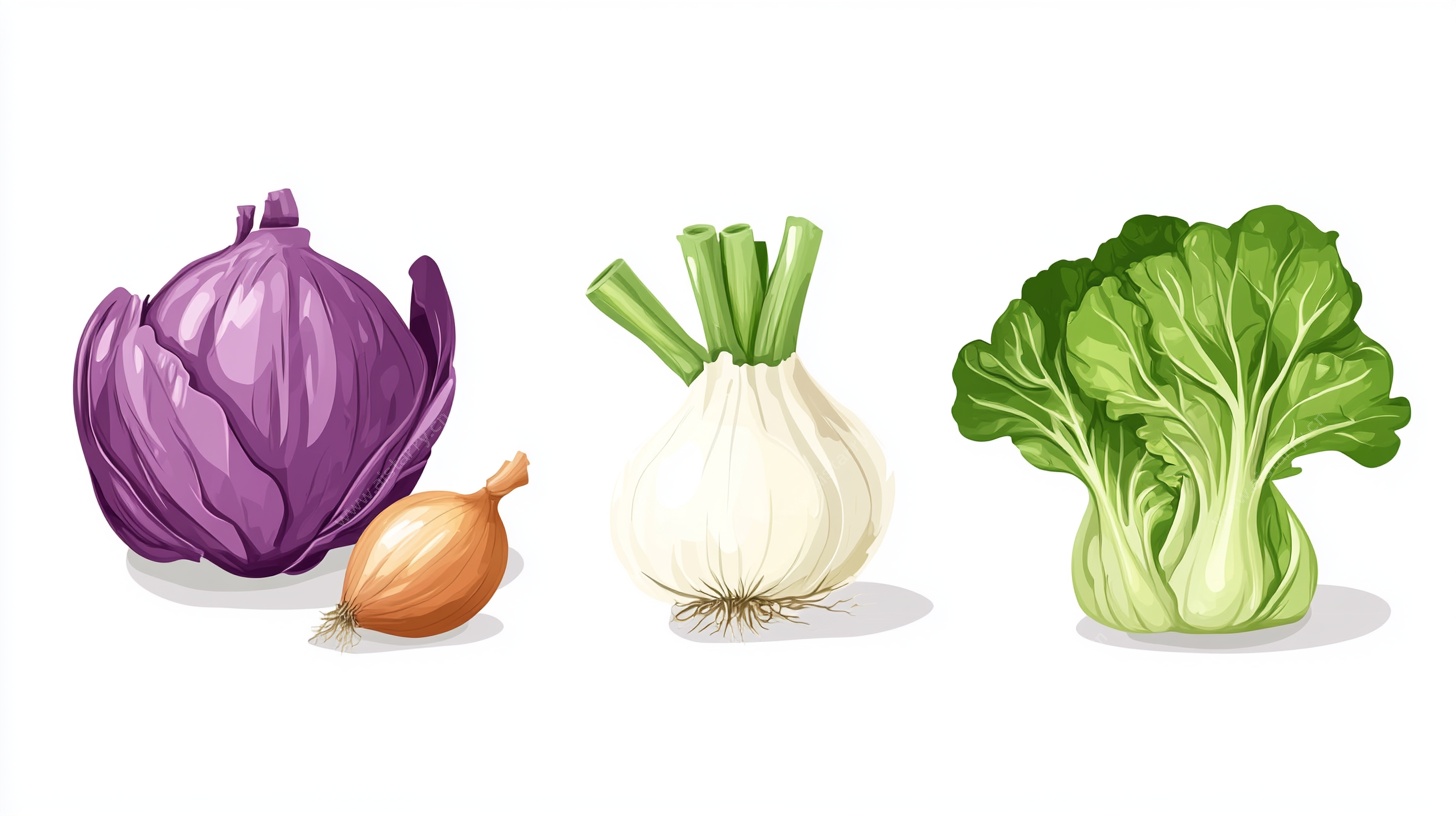 三种蔬菜插画图