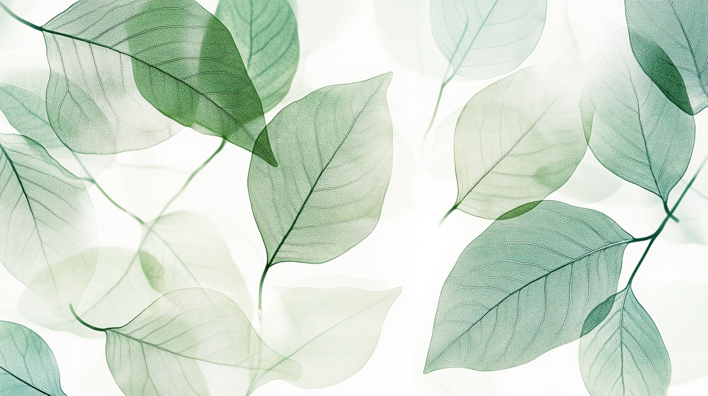 清新绿叶背景图