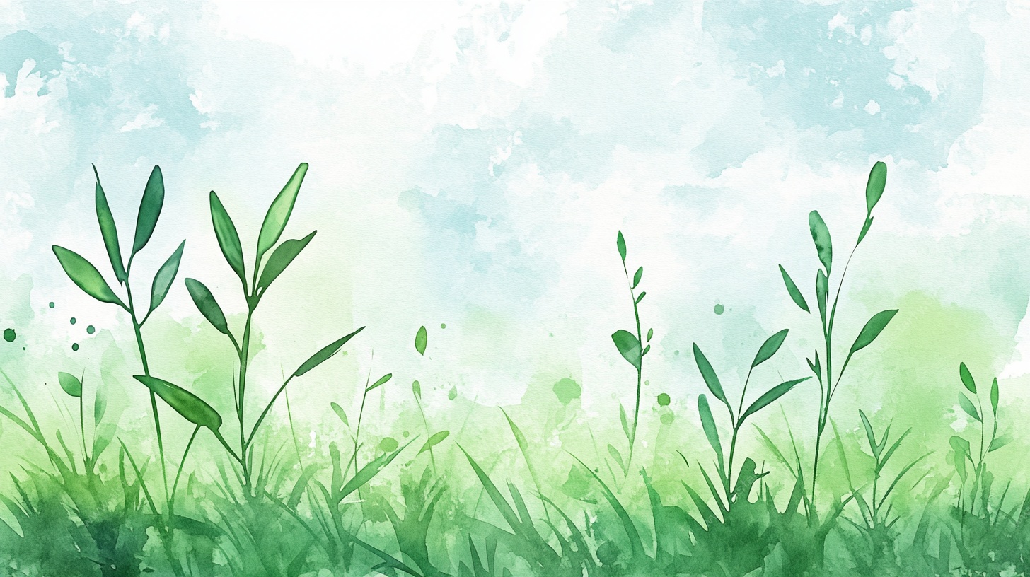 清新水彩风嫩绿草地背景