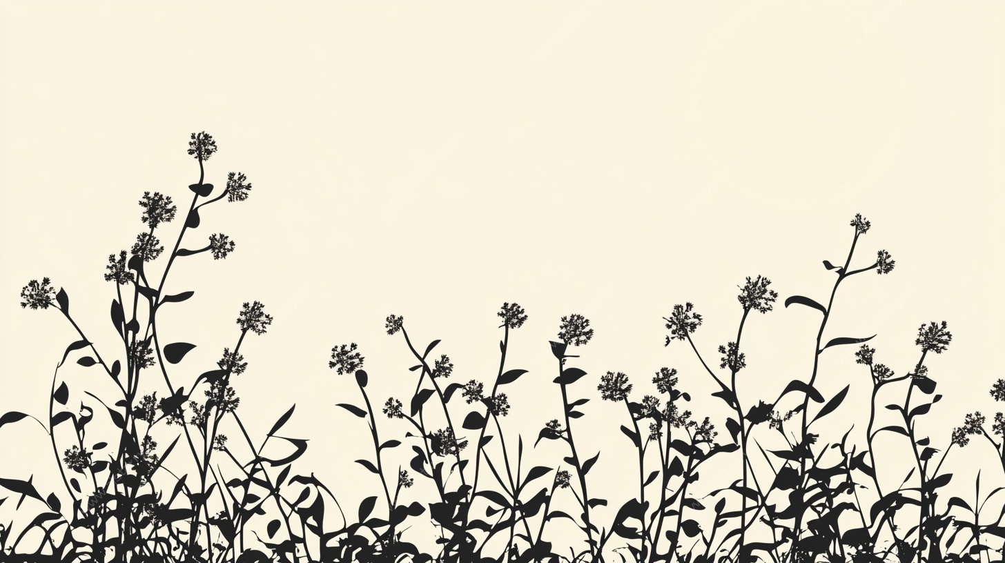 黑白花卉植物剪影背景图