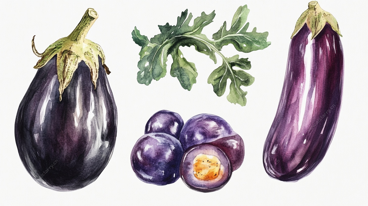 水彩绘茄子及果实叶片