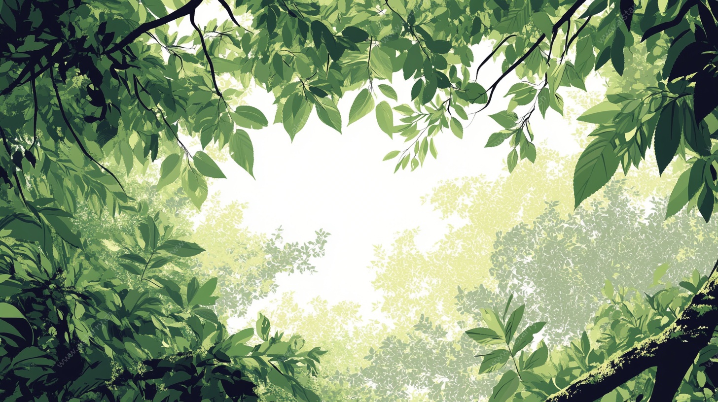 透过绿叶看林间微光