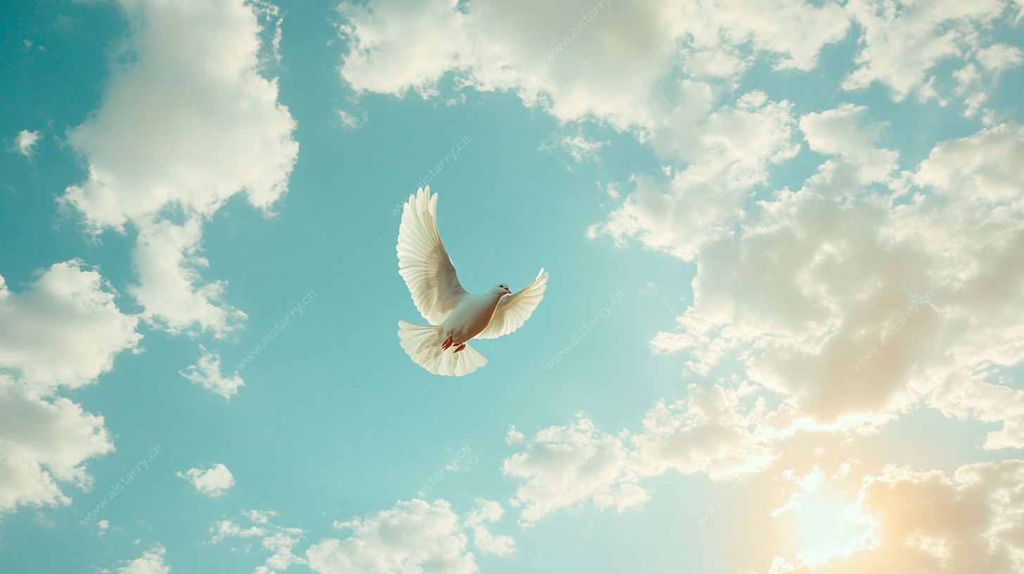 白鸽翱翔蓝天