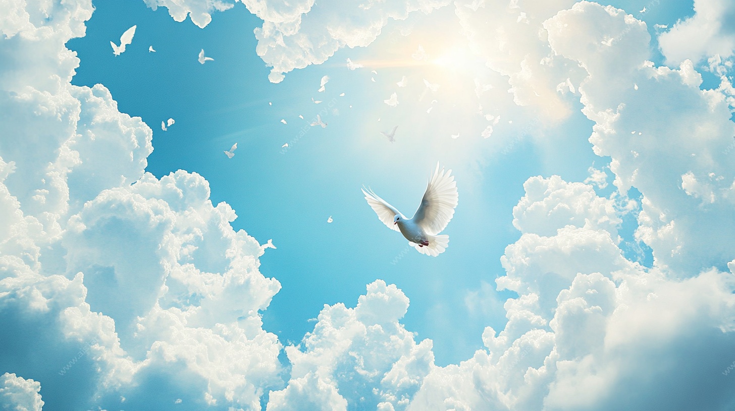 白鸽翱翔于蓝天云海间