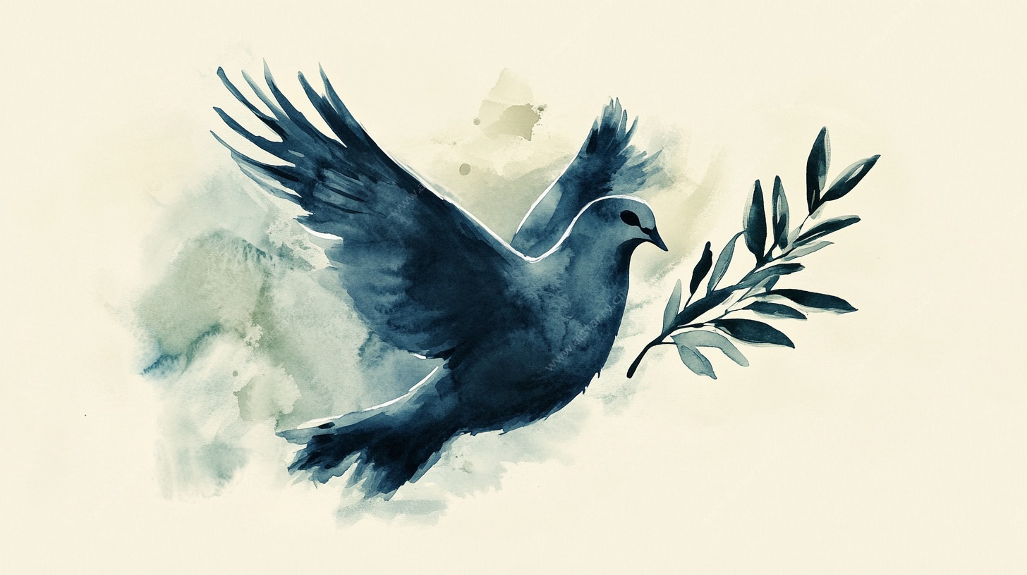 水彩和平鸽插画